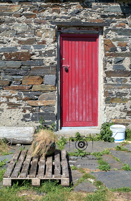 DS Donegal May 2025 (0003)